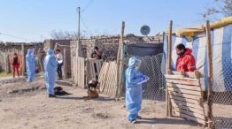  crecimiento de casos 20201016