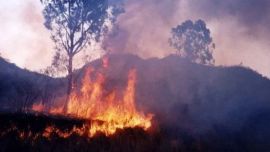 La intención es que los trabajos de restauración comiencen una vez que los incendios hayan cesado totalmente.