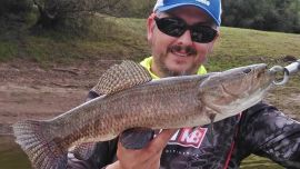 Dónde ir a pescar, cuáles son los ámbitos habilitados y cómo viene el pique.