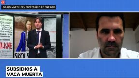 El secretario de Energía, Darío Martínez