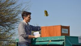 1910_liberan_cardenales