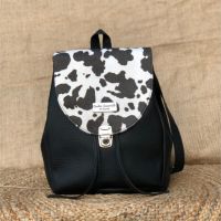 CG Carteras