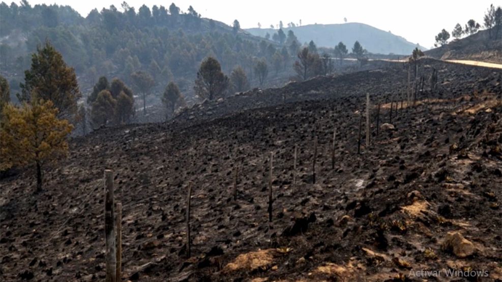 Incendios forestales extinguidos en Córdoba