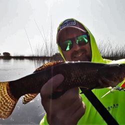 Pesca de tarariras en la laguna El Abuelo, tras más de 200 días de cuarentena.