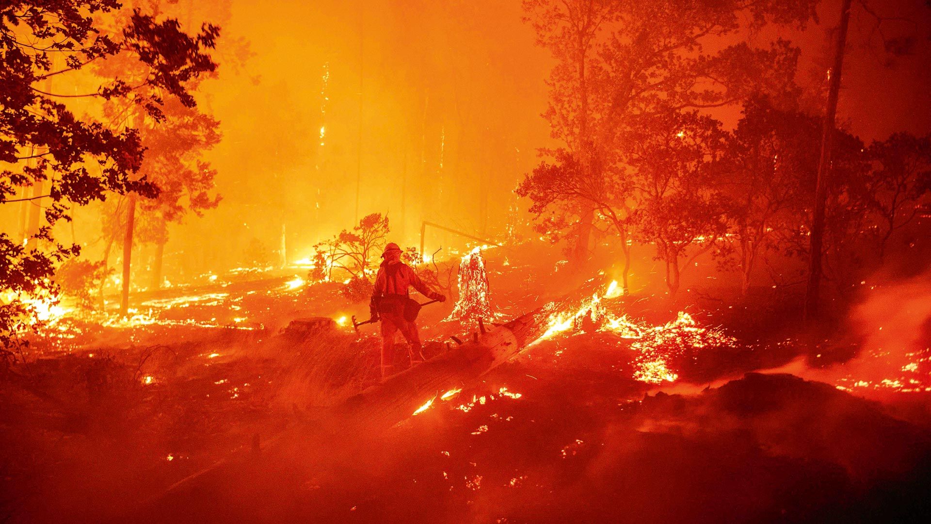 Noticias | Los focos de incendio que quedan: una crisis ambiental con sello humano