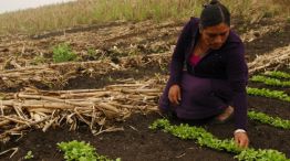 Fomento para proyectos de mujeres rurales. 