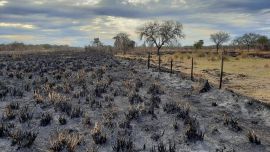 Las precipitaciones en la región estuvieron por debajo del promedio histórico.