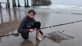 Pescan un terrible chucho de 41 kilos en Mar del Plata.