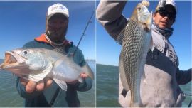 En san Blas, además de corvinas hay una rica variada de lenguados, pejerreyes y están a punto de llegar los cazones.