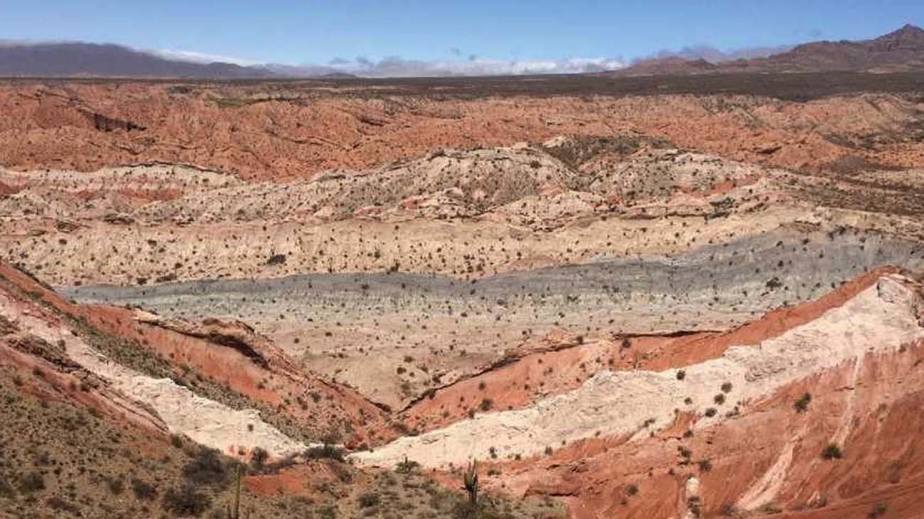 "Reconstruyen un antiguo clima análogo del previsto en siglos venideros"