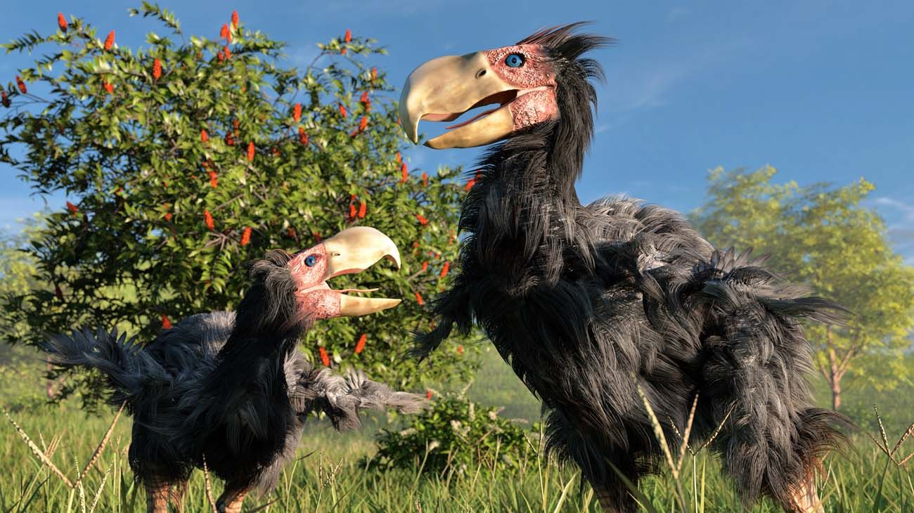 "Reconstruyen un antiguo clima análogo del previsto en siglos venideros"