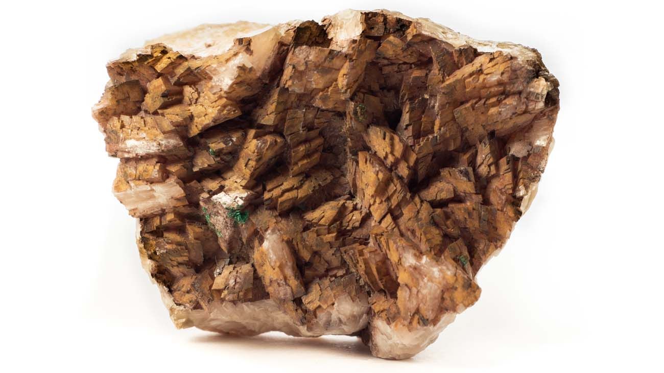 "Reconstruyen un antiguo clima análogo del previsto en siglos venideros"