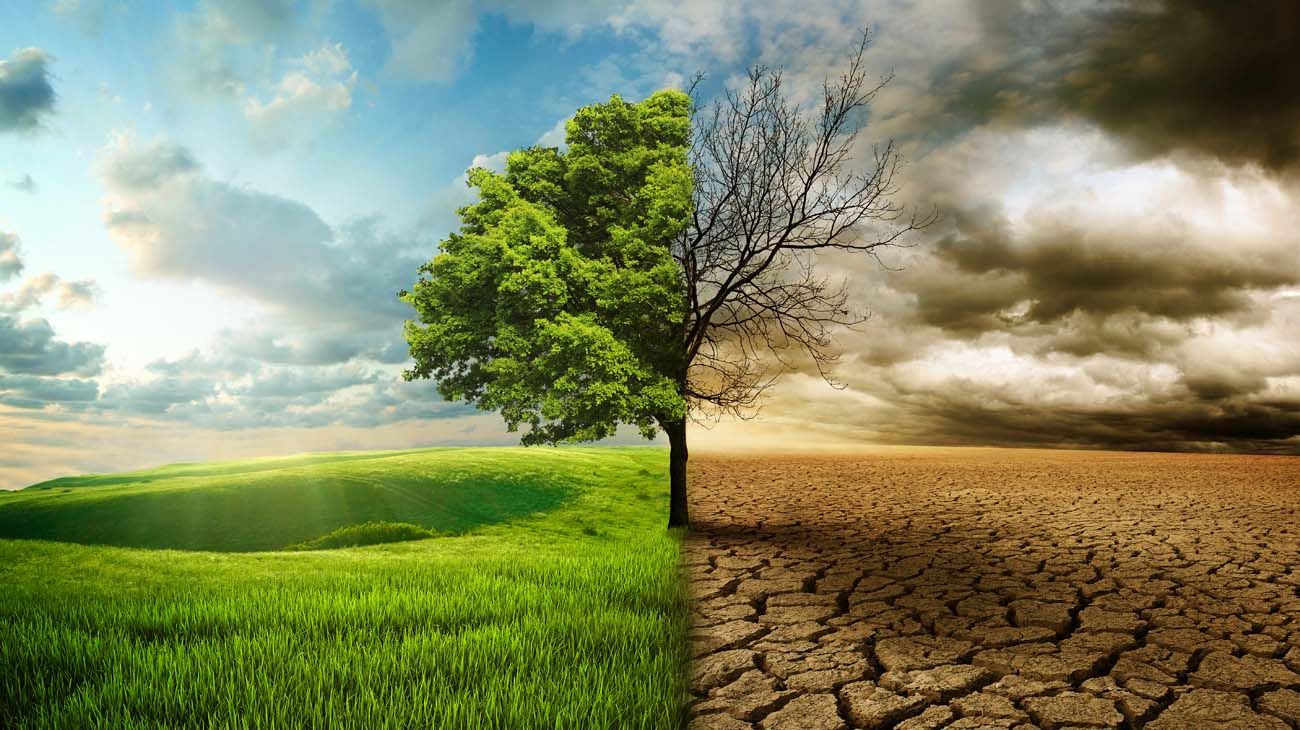 "Reconstruyen un antiguo clima análogo del previsto en siglos venideros"