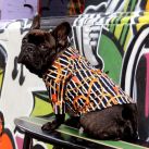 Dog Fashion Argentina