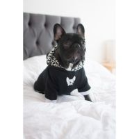 Dog Fashion Argentina