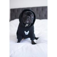 Dog Fashion Argentina