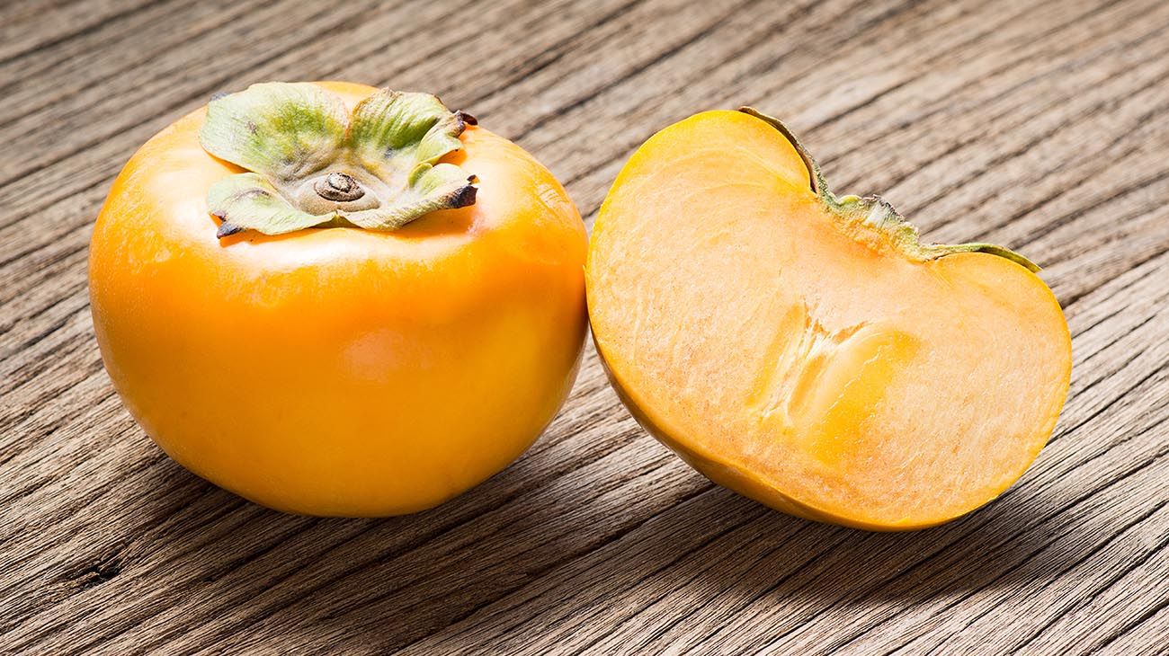 Nueva Zelanda plantas y bosques