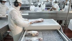 Exportación de carne