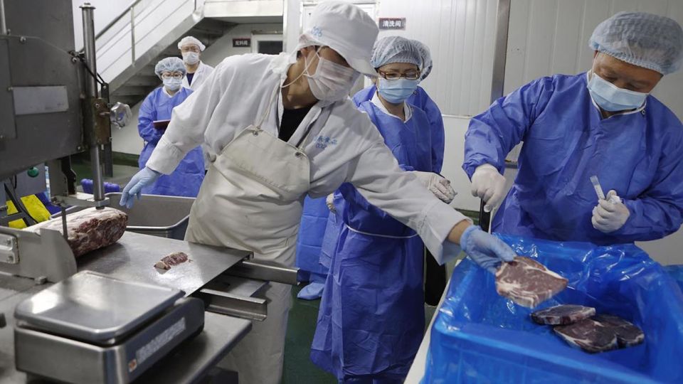 Riesgo de contagio en importación de alimentos es real