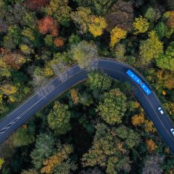 Una vista aérea muestra automóviles y un autobús conduciendo por una calle de un bosque otoñal cerca de Hattingen, en el oeste de Alemania. | Foto:Ina Fassbender / AFP