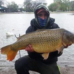 En los lagos de Palermo un pescador capturó una carpa de 13,5 kg, que devolvió al agua.