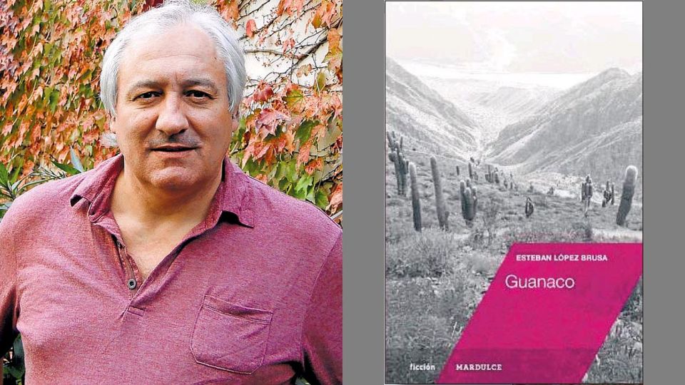 Esteban López Brusa 20201102