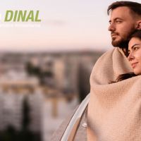 Grupo Dinal y Lener constructora