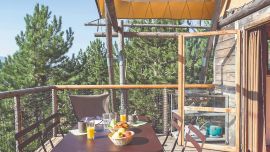 En carpa, pero cinco estrellas