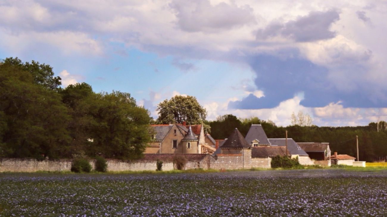 Una de las vistas del castillo Belebat (Francia), donde el argentino Oscar Rinaldi armó un proyecto de vida familiar y empresario.