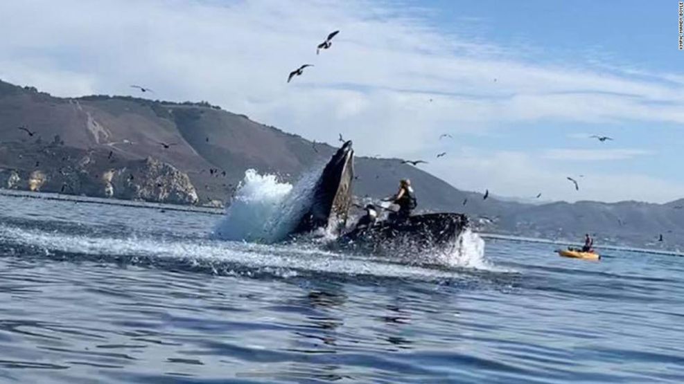 dos mujeres casi son devoradas por una ballena en California 20201104