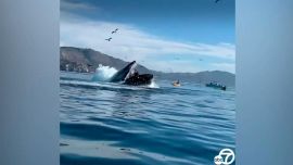 El hecho quedó registrado en varios dispositivos.