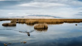 La provincia de Entre Ríos está lista para recibir a los turistas y aspira a que lleguen también desde Uruguay.