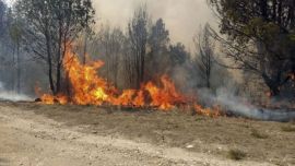 En materia de Peligrosidad de Incendios Forestales, en Jujuy se categoriza con grado de “Peligro Extremo".