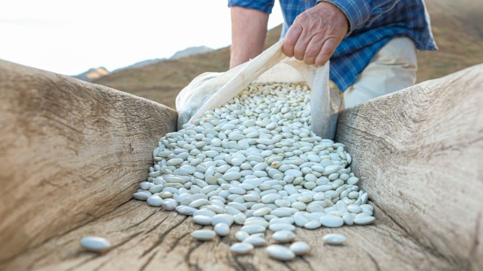 E-Levenc, plataforma argentina paraconectar productores con consumidores