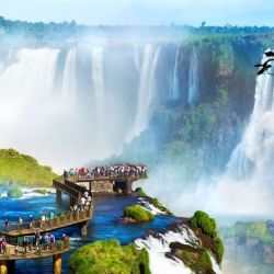 La segunda àrea protegida natural de la Argentina fue el Parque Nacional Iguazú. 