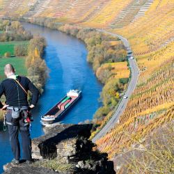 Un escalador se para sobre una roca sobre el río Neckar mientras un carguero pasa por los viñedos de colores otoñales en Hessigheim, sur de Alemania. | Foto:THOMAS KIENZLE / AFP