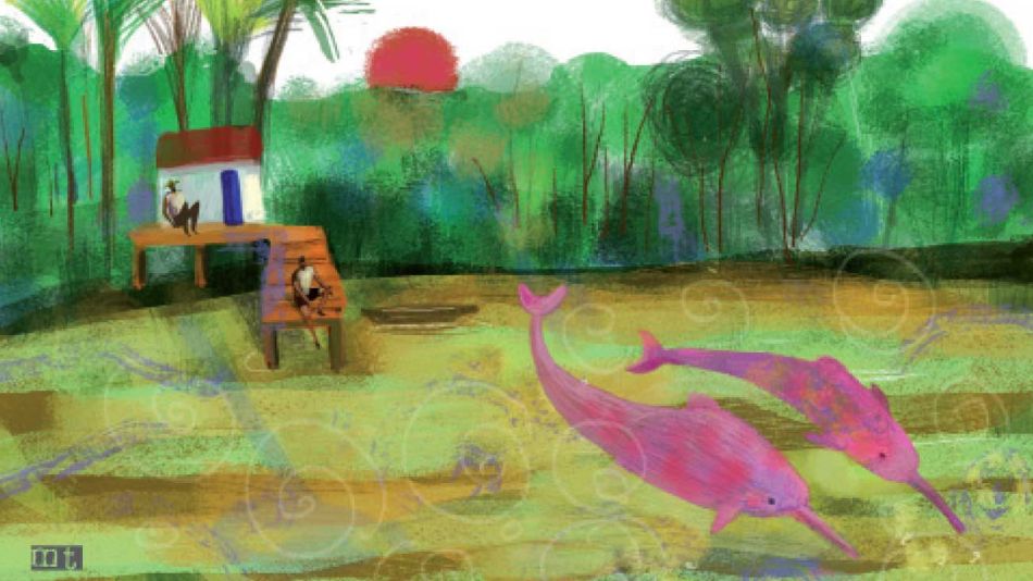 20201108_delfin_amazonas_martatoledo_g