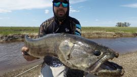 1011_pesca_tarariras