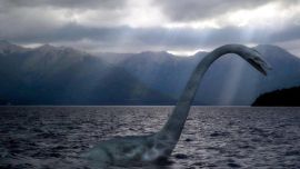 El misterioso animalito acuático figura entre las criaturas mitológicas más emblemáticas de América del Sur.