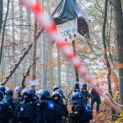 Agentes de policía caminan bajo una casa en un árbol en el bosque Dannenroeder, mientras los activistas ocupan el bosque para protestar contra la controvertida construcción de la Autobahn 49. | Foto:Andreas Arnold / DPA
