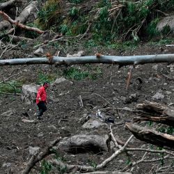 Un hombre busca personas enterradas luego del desborde del río Bambito debido a las fuertes lluvias provocadas por el huracán Eta, en Bambito, provincia de Chiriquí, a 450 kms al norte de la ciudad de Panamá. | Foto:Luis Acosta / AFP