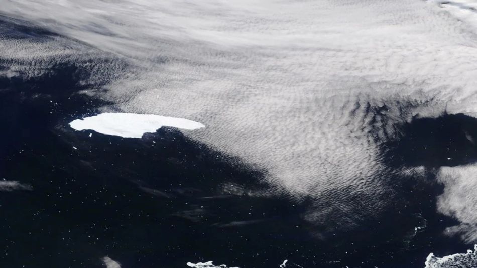 Iceberg cercano a Georgia del Sur