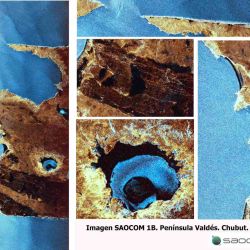 En las imágenes de la Península de Valdés se pudo detectar, gracias al radar SAR, del contenido de agua en la Salina Grande al sur y al norte.