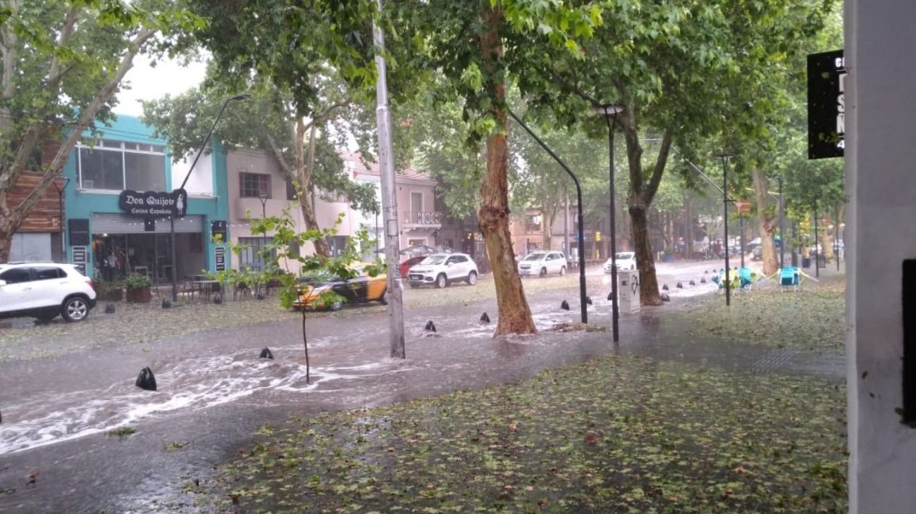 Impactantes imágenes del diluvio y granizo en Mendoza que produjo inundaciones.