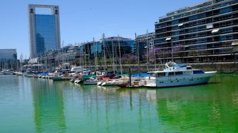 AGUA VERDE EN PUERTO MADERO 20201112