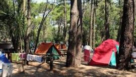 El gobierno bonaerense finalmente autorizó la temporada de campings.
