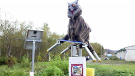 Las máquinas se activan por movimiento y tienen luces estroboscópicas LED en los ojos.