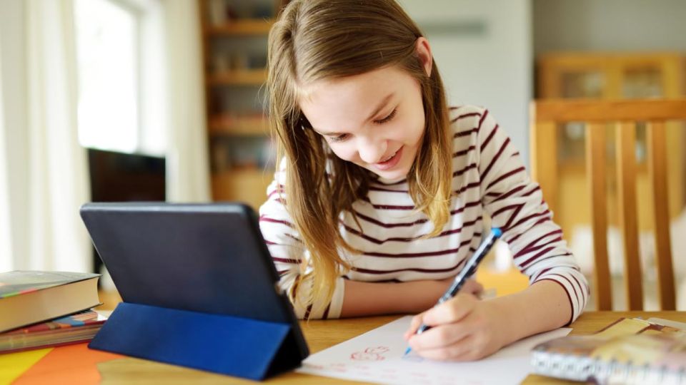 Chicos y chicas del nivel secundario son quienes toman clases particulares