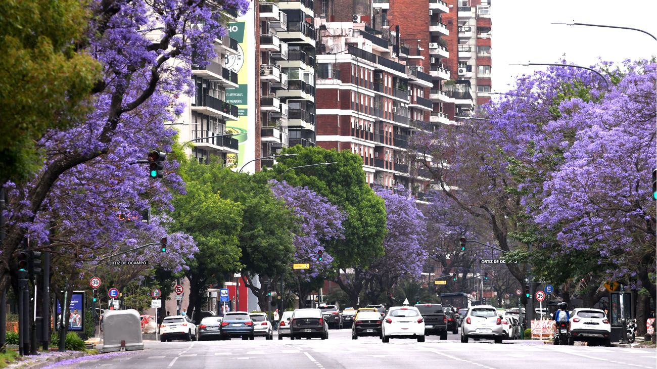 Buenos Aires florece  parte dos