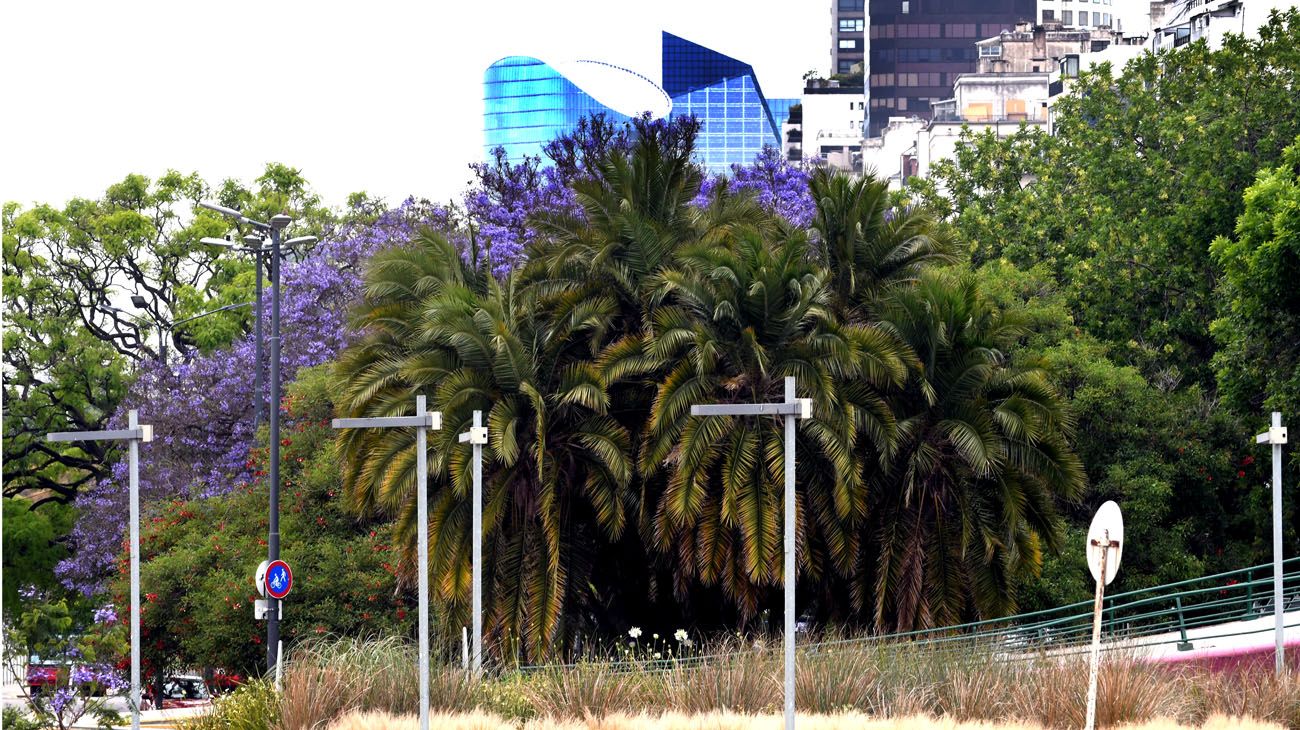 Buenos Aires florece  parte dos